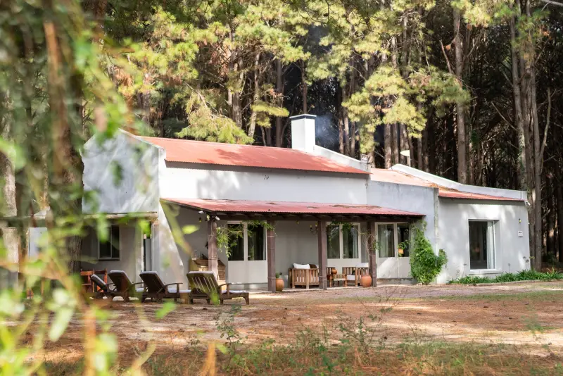 La casa vista desde el bosque