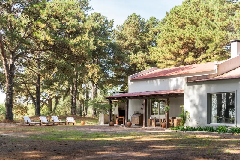 La casa entre los pinos
