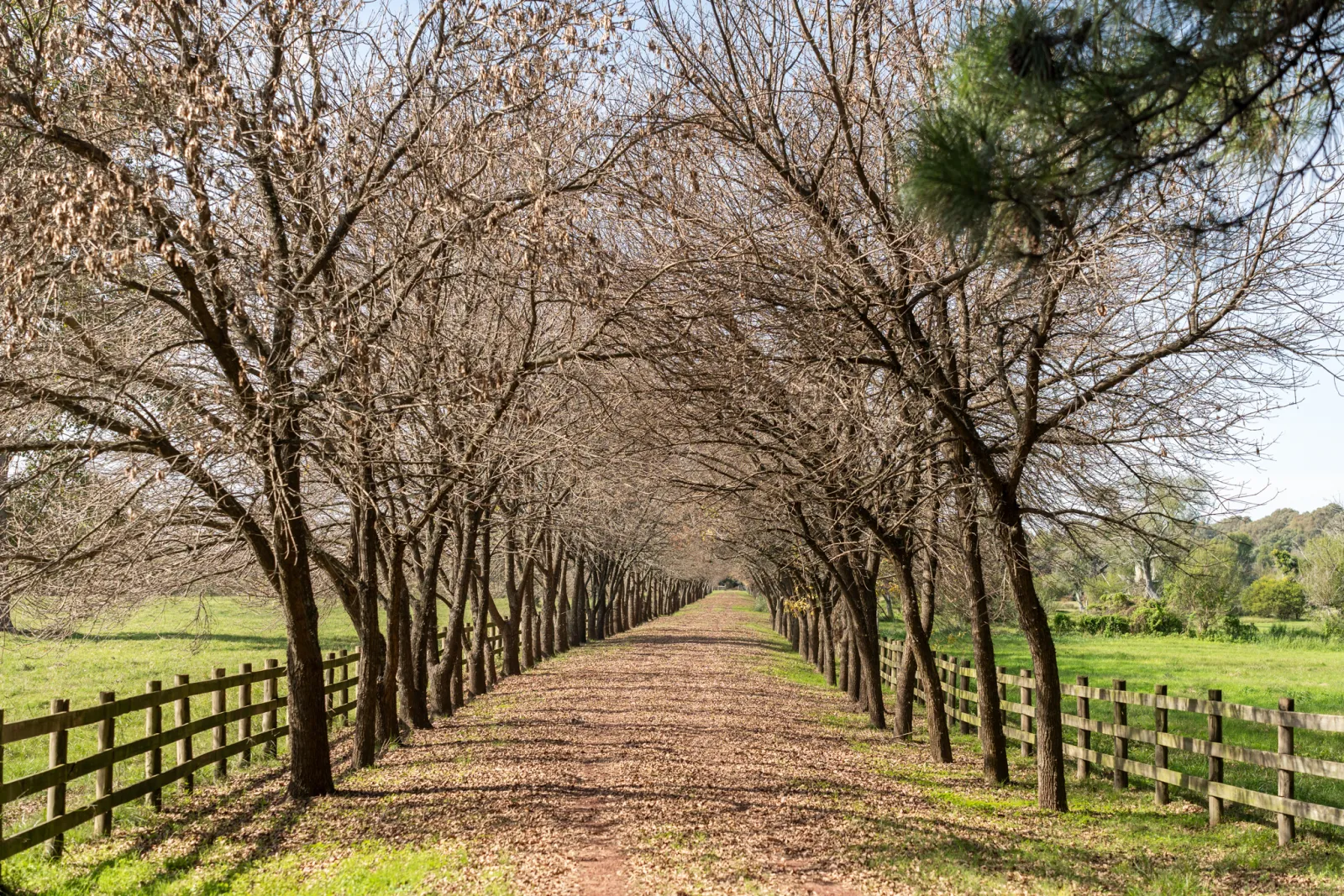 Avenida de entrada y paisaje de la región